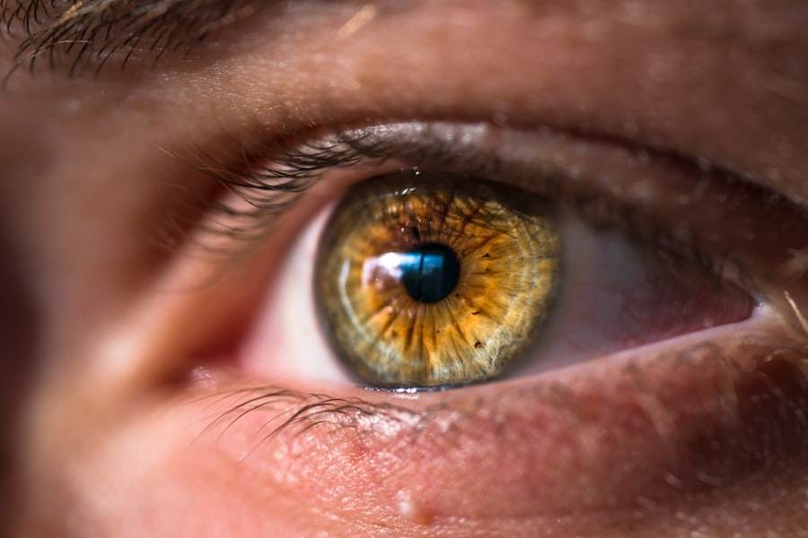 A close-up of a human eye with hazel and green hues, accentuated by cosmetic winged eyeliner tattoos, reveals intricate iris patterns and a reflection of light, encapsulating effortless beauty.